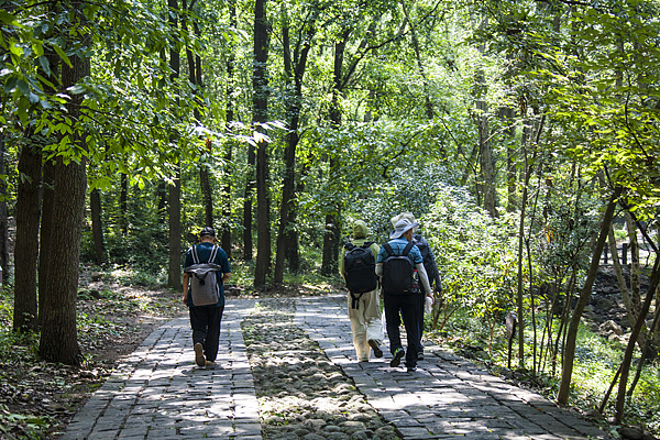 Jiangsu reports best air quality in Yangtze River Delta in first eight months