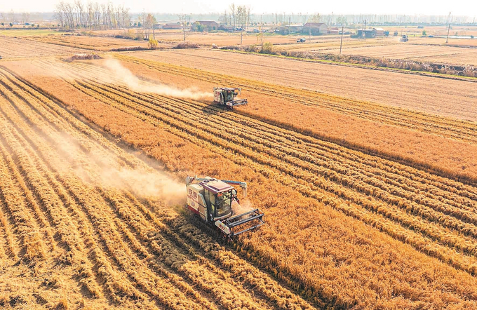 Jiangsu's grain production tops 38 billion kg for first time