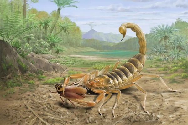 Jiangsu researchers discover 125-mln-year-old scorpion fossil