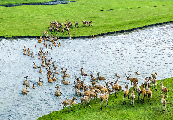 Jiangsu enacts new biodiversity conservation regulations