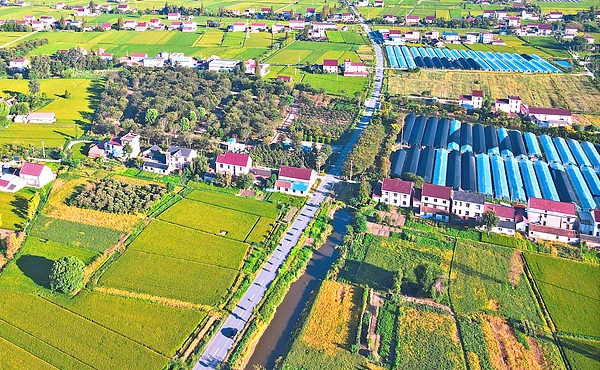 Jiangsu implements 17 measures to boost agricultural and rural development