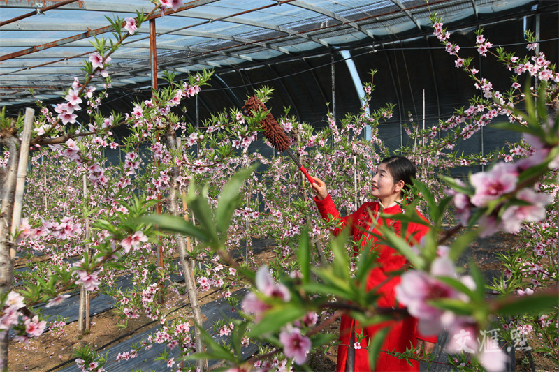 Jiangsu gears up for spring farming