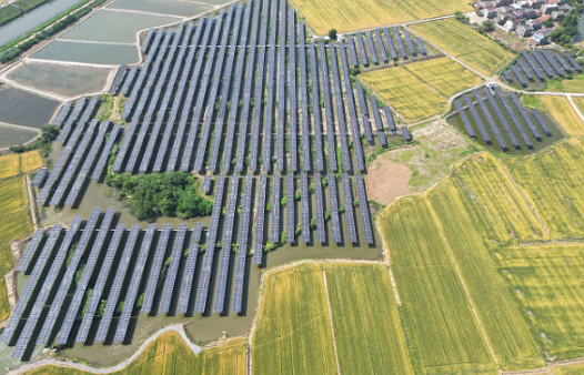 Southern Jiangsu's largest hybrid fishery-solar project connected to grid in Danyang