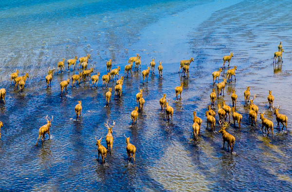 2025 World Coastal Forum to be held in Yancheng