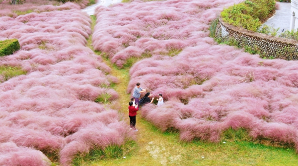 Autumn in full bloom in Jiangsu