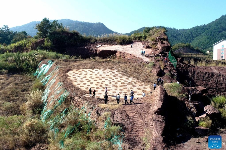 World's largest deinonychosaur tracks discovered in Fujian