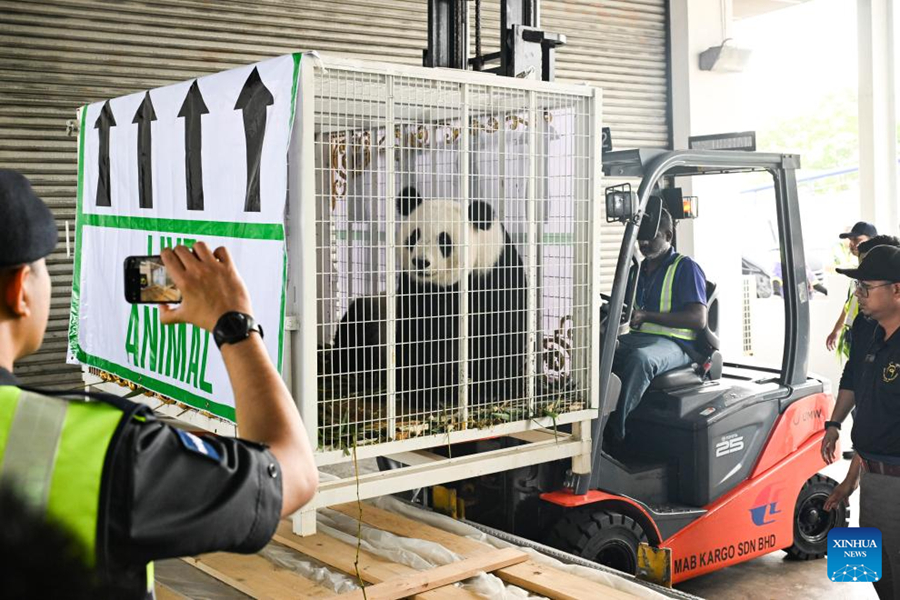 Malaysians bid tearful farewell to giant panda duo Xing Xing, Liang Liang