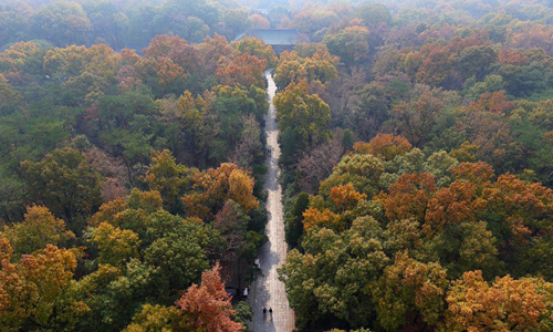 Beautiful scenery of Sun Yat-sen's Mausoleum in Nanjing.jpg