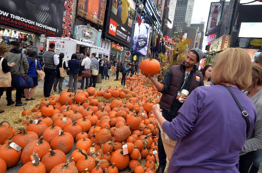 A pop-up pumpkin patch is set up for Halloween in Times Square as a promotion for the App Google Photos, in New York, the United States, Oct. 29, 2015.