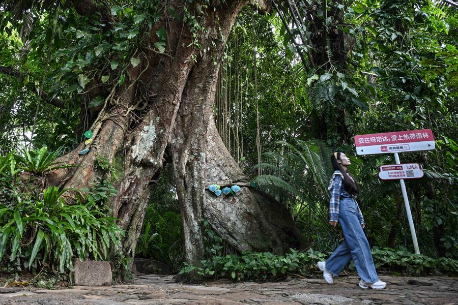 Exploring Yanoda Rain Forest in Hainan