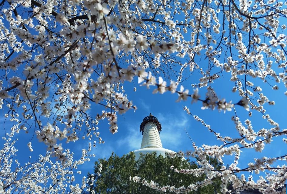 Spring scenery across China