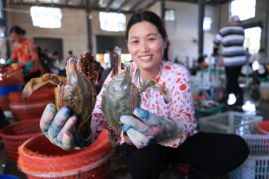 Portunid crabs hitting the market in Jiangsu | ENGLISH.JSCHINA.COM.CN