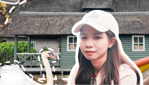 羊角村主封面.png